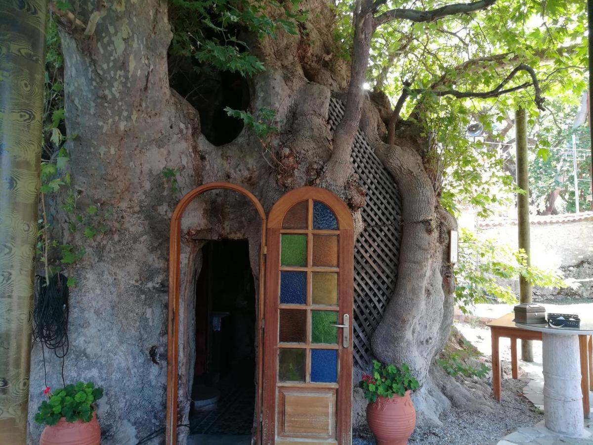 Plataniotissa Mansion Villa Kalavryta Exterior foto